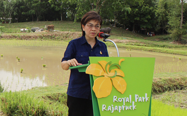 สวพส.จัดกิจกรรรมปลูกข้าววันแม่