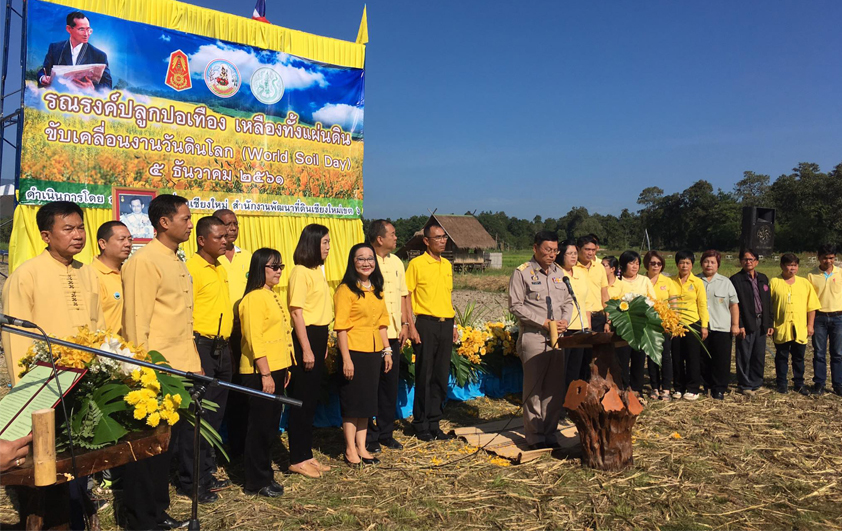 สวพส.ร่วมกิจกรรมรณรงค์ปลูกปอเทืองเหลืองทั้งแผ่นดินขับเคลื่อนงานวันดินโลก(WorldSoilDay)