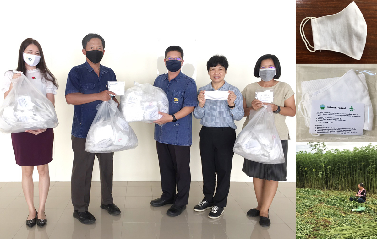 สวพส.ผลิตหน้ากากผ้าใยกัญชงสู้COVID-19