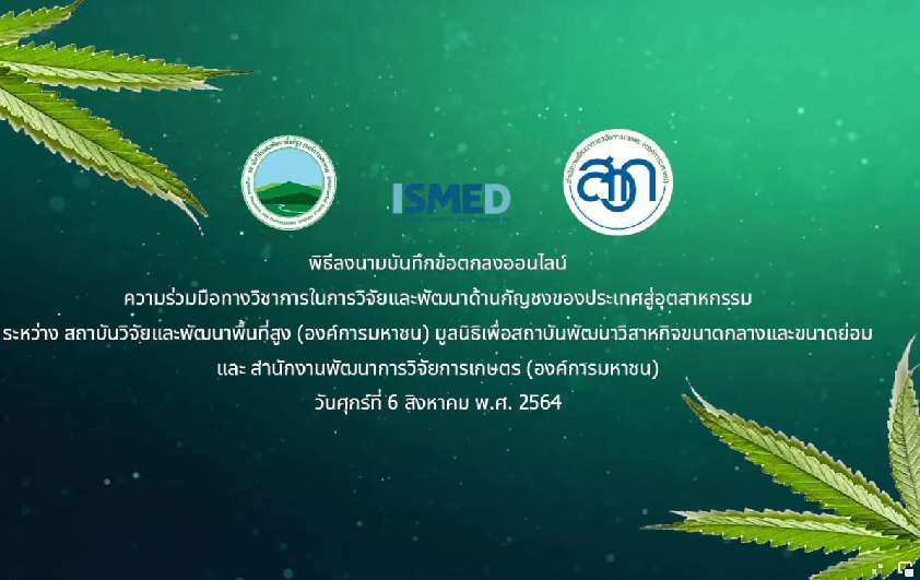 สวพส.ผนึกกำลังร่วมกับสวก.และสพว.พัฒนากัญชงสู่อุตสาหกรรม