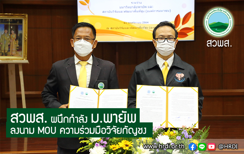 สวพส.ผนึกกำลังม.พายัพลงนามMOUความร่วมมือวิจัยกัญชง