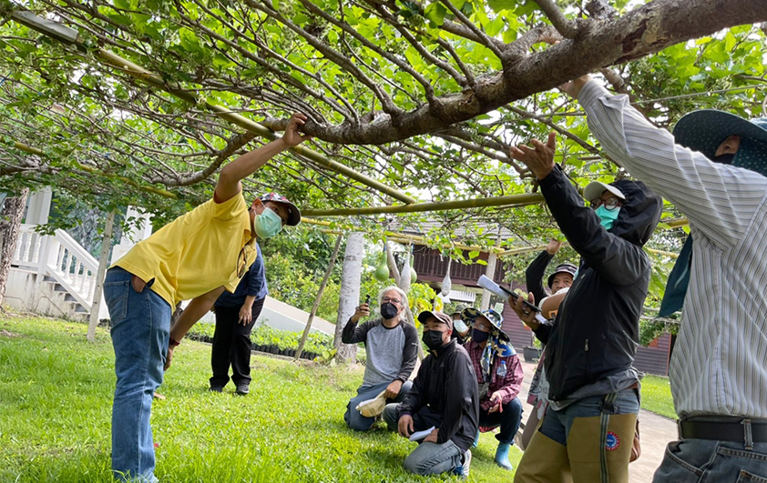 การปลูกผักเพื่อความมั่นคงทางด้านอาหารในยุคโควิด
