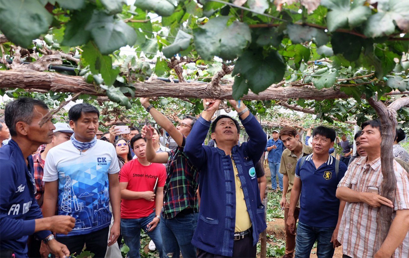 สวพส.ร่วมกับมูลนิธิโครงการหลวงจัดกิจกรรม“การแลกเปลี่ยนเรียนรู้การปลูกและพัฒนาการผลิตองุ่นของไทย”