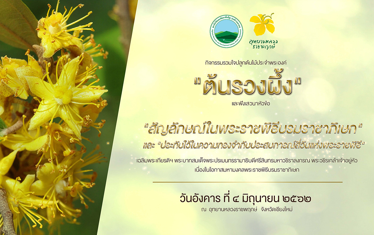 4มิ.ย.62เชิญร่วมเป็นส่วนหนึ่งในกิจกรรมรวมใจปลูกต้นไม้ประจำพระองค์“ต้นรวงผึ้ง”