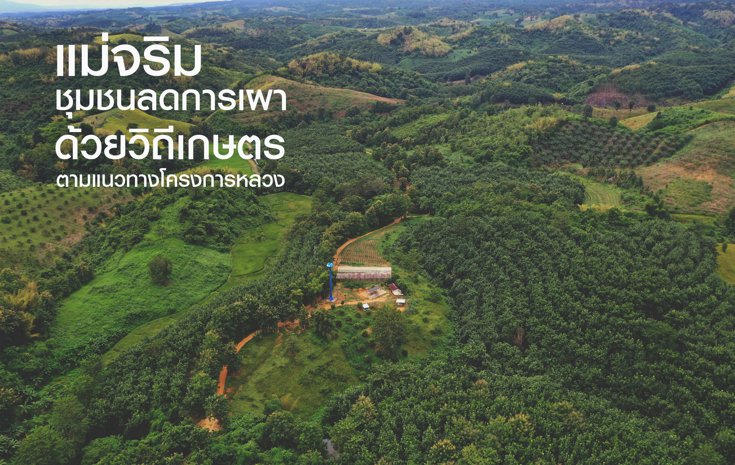 แม่จริม:ชุมชนลดการเผาด้วยวิถีเกษตรตามแนวทางโครงการหลวง