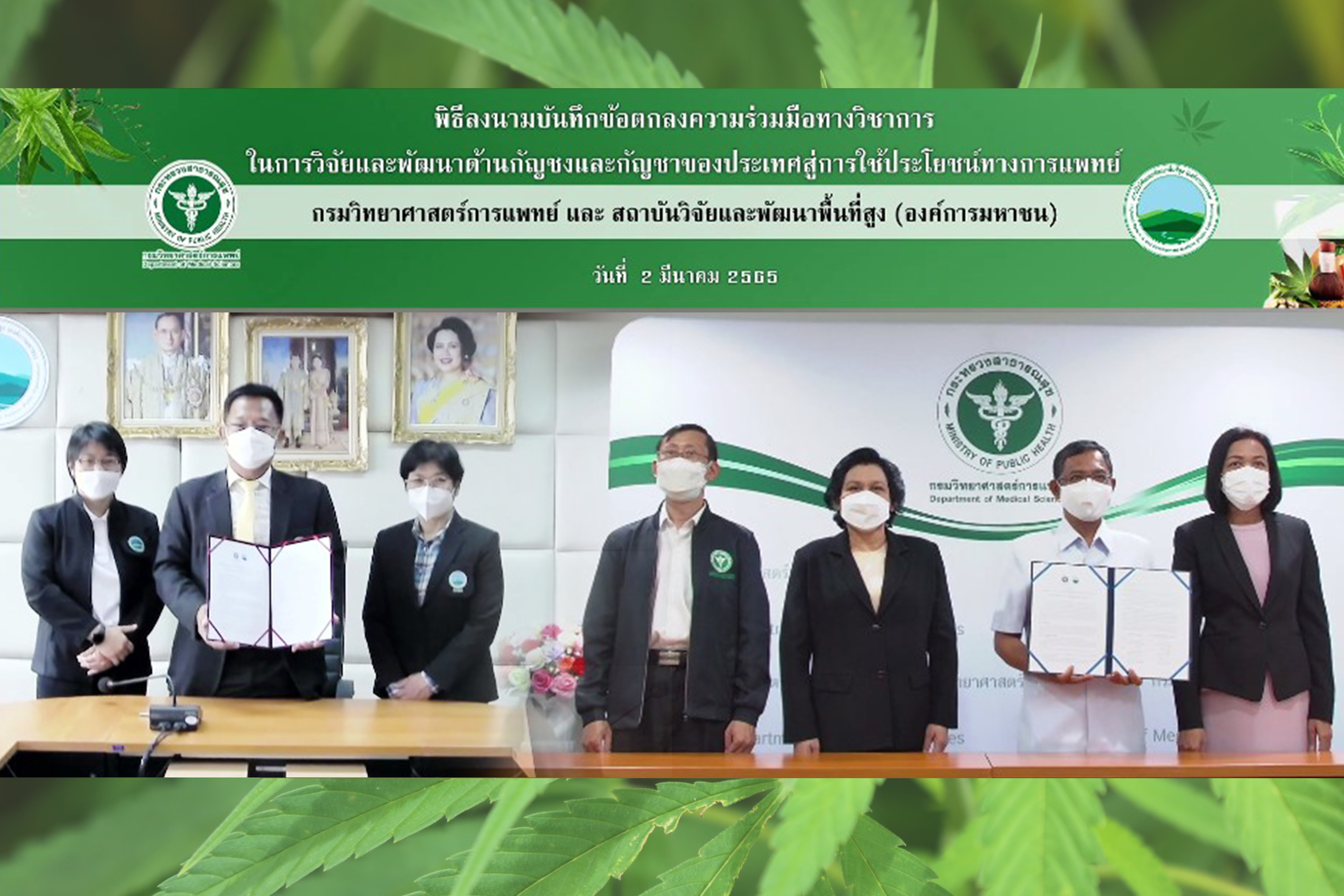 สวพส.จับมือกรมวิทย์ฯพัฒนากัญชงและกัญชาทางการแพทย์