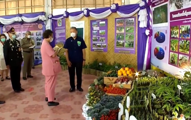 สวพส.รับเสด็จสมเด็จพระกนิษฐาธิราชเจ้าณอ.สองแควจ.น่าน