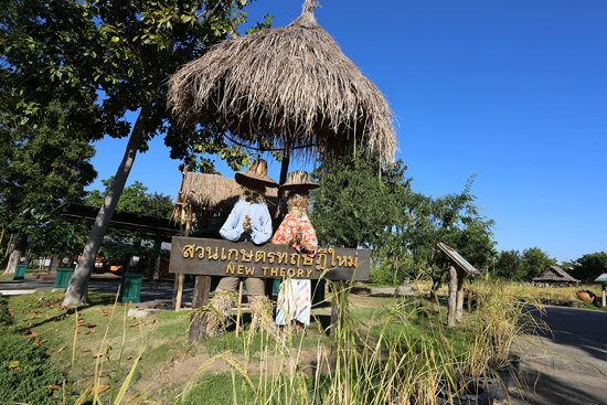 เรียนรู้วิถีแบบพอเพียงที่สวนเกษตรทฤษฎีใหม่1ในไฮไลท์ของเทศกาลชมสวน