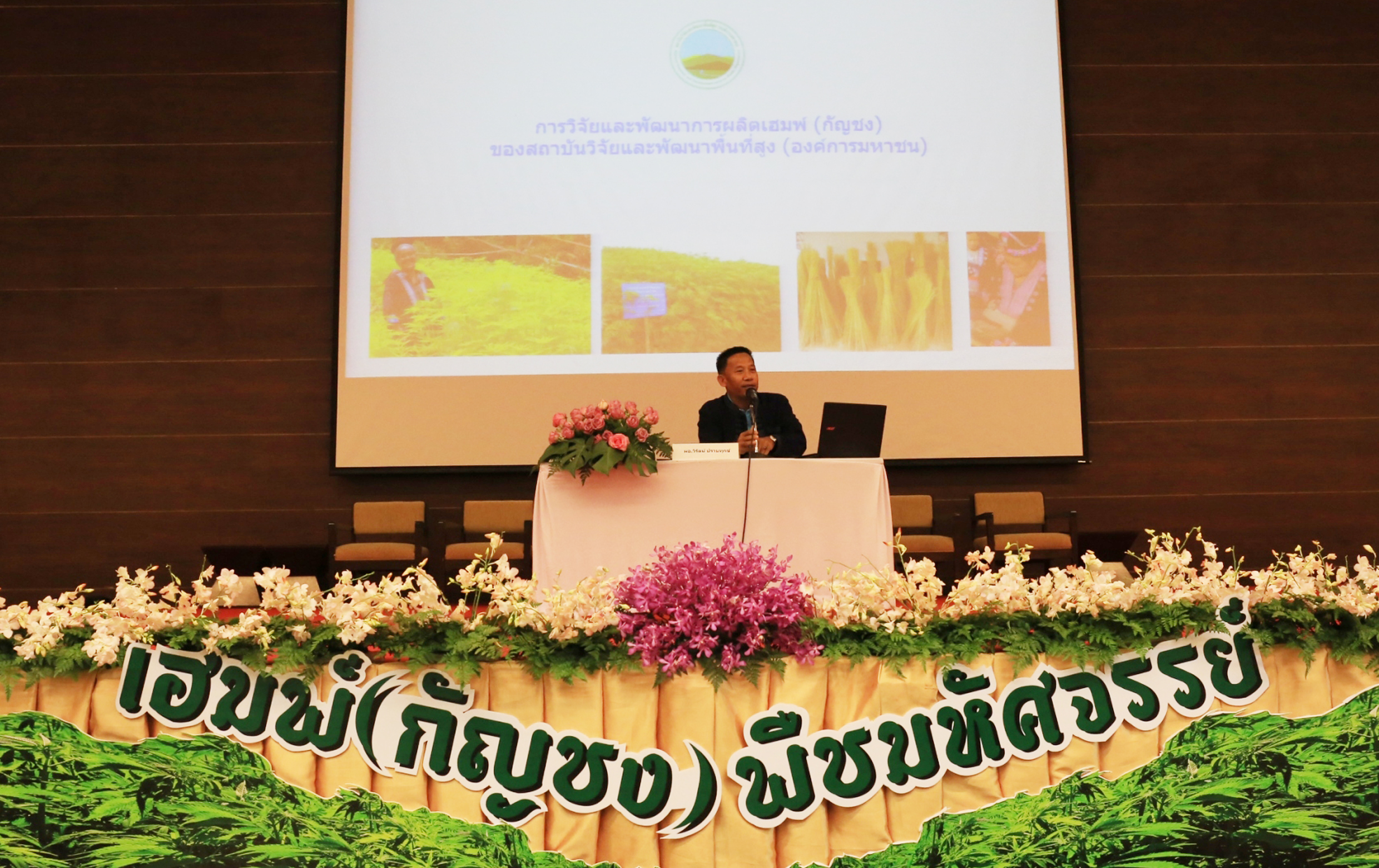 สวพส.จัดเสวนาใหญ่“เฮมพ์(กัญชง)...พืชมหัศจรรย์”