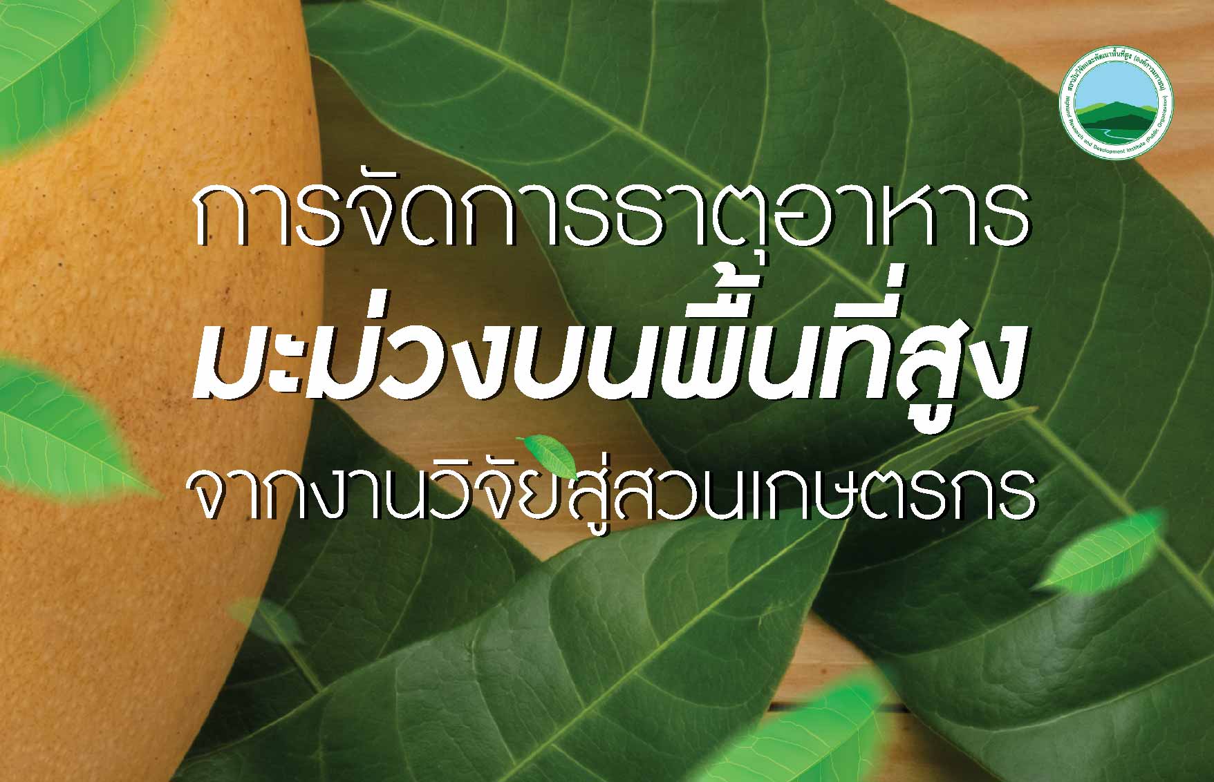 การจัดการธาตุอาหารมะม่วงบนพื้นที่สูง จากงานวิจัยสู่สวนเกษตรกร