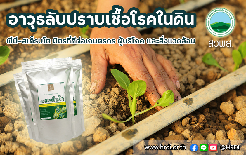 อาวุธลับปราบเชื้อโรคในดิน