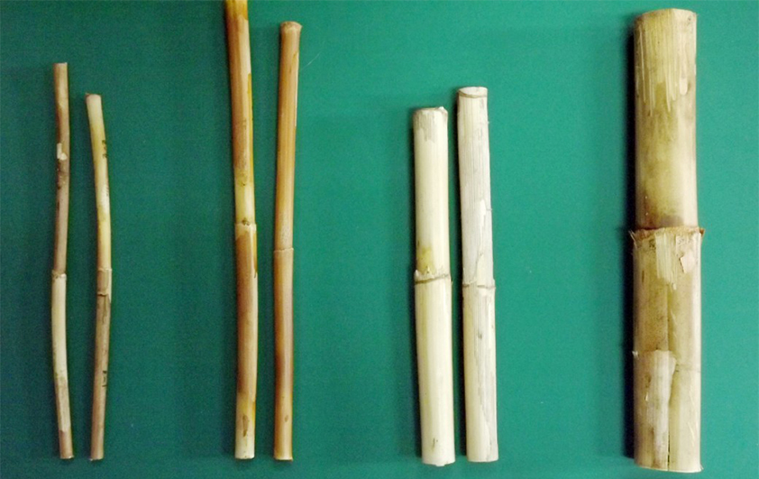 โครงการวิจัยและพัฒนาหวายเพื่อสร้างรายได้แก่ชุมชน