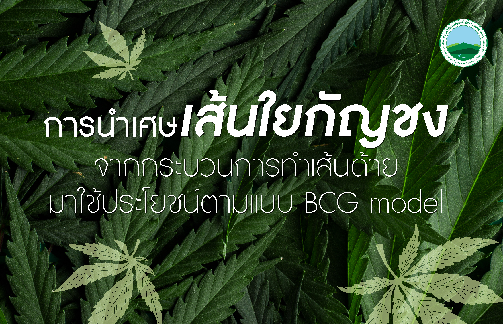 การนำเศษเส้นใยกัญชงจากกระบวนการทำเส้นด้ายมาใช้ประโยชน์ตามแบบ BCG model