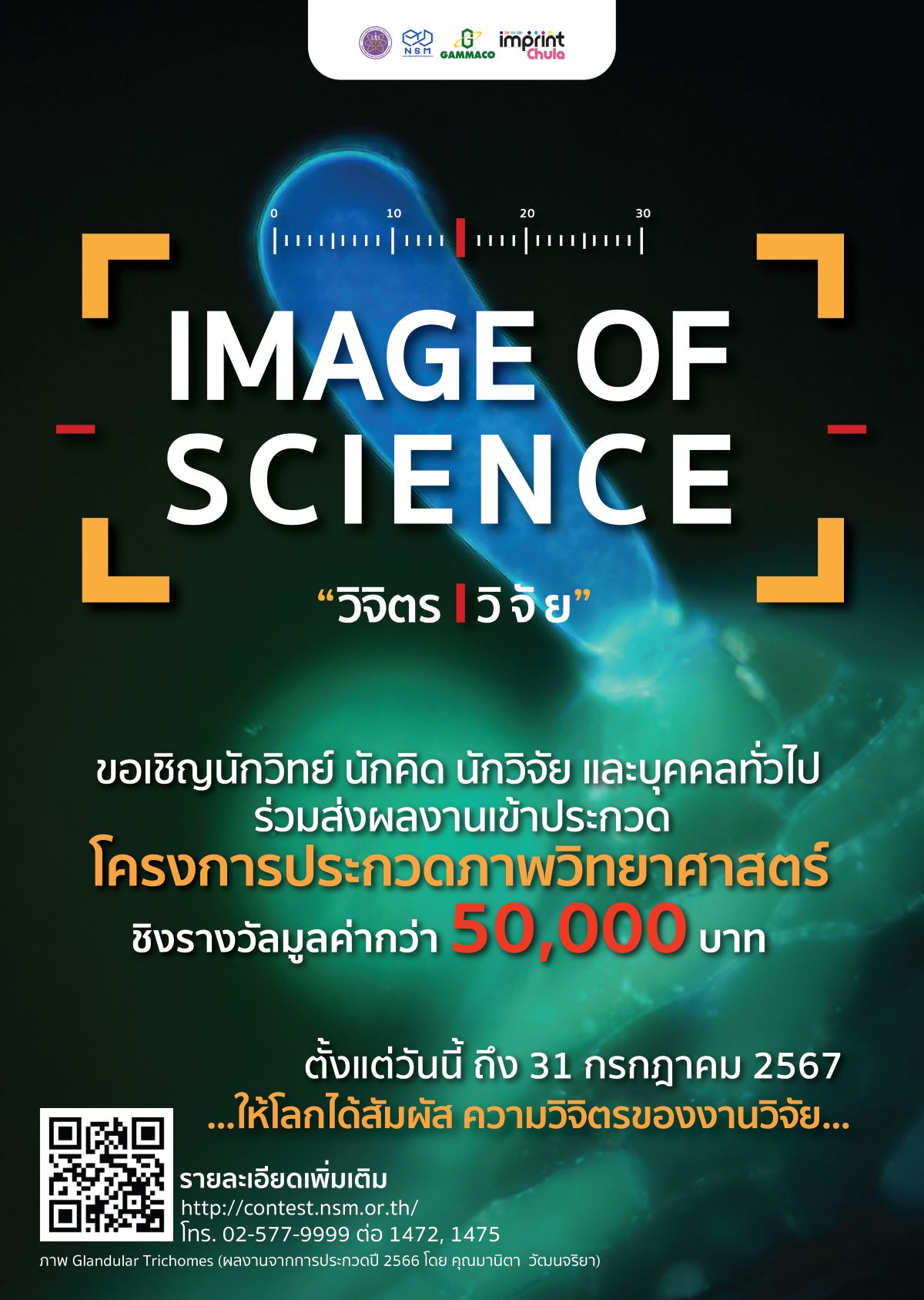 การประกวดภาพทางวิทยาศาสตร์ Image of Science 