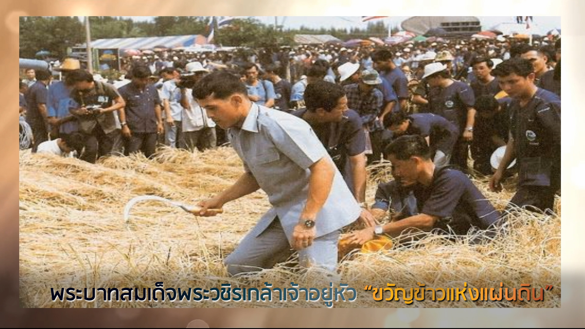 ช่องทางบริการข้อมูลข่าวสารของกระทรวงเกษตรและสหกรณ์ (MOAC Social Media)